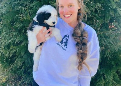 Sheepadoodle puppies